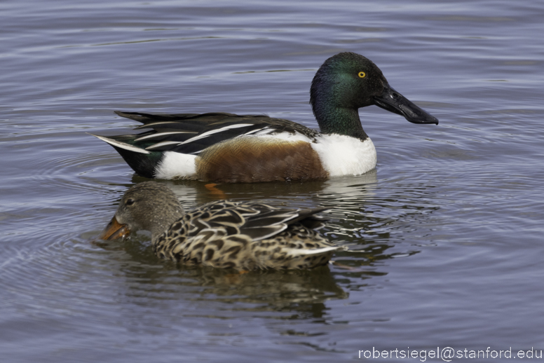 emily renzel wetlands 2023